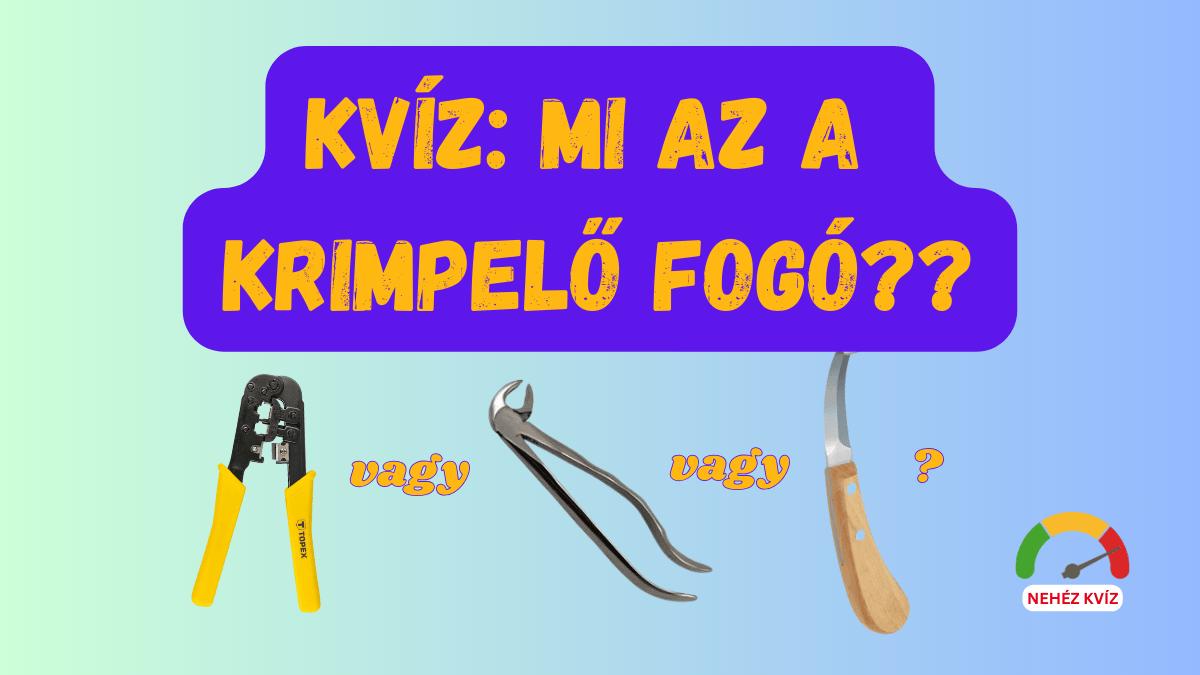 Furcsa Tárgynevek Kvíz cover