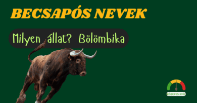 becsaposnevekkviz