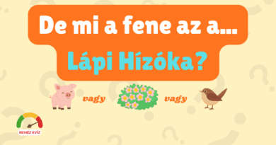 muveltsegi kviz furcsa nevek vol 3