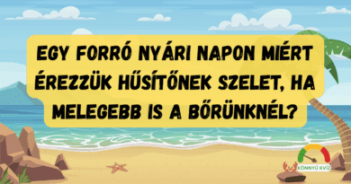 Napi kvíz műveltségi teszt parolgas cover