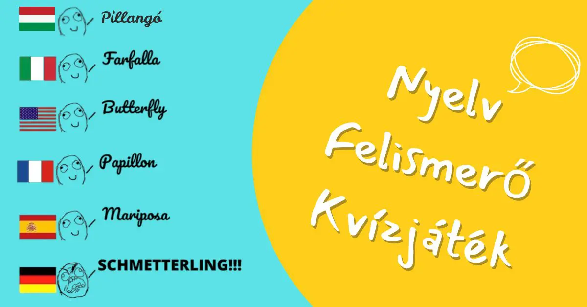 fejtörő kvíz nyelv felismerő játék v2