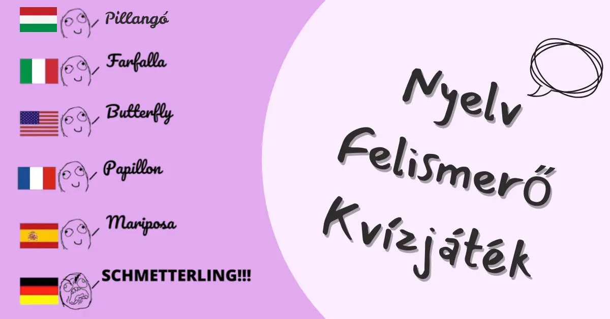 fejtörő kvíz nyelv felismerő játék