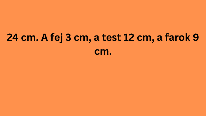logikaiflipkviz4