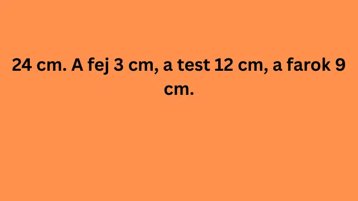 logikaiflipkviz4