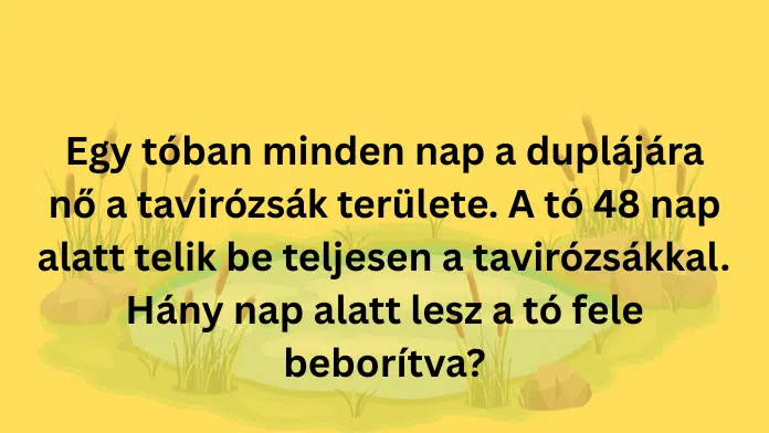 furfangoskviz7
