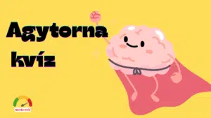 agytornakvizcover