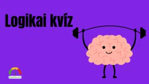 logikaflipkviz