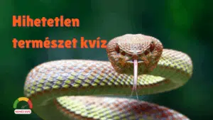hihetetlentermeszet