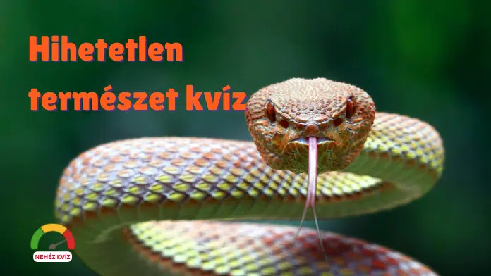hihetetlentermeszet