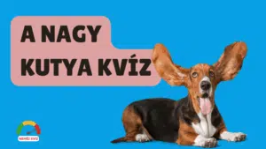 nagy kutyakviz