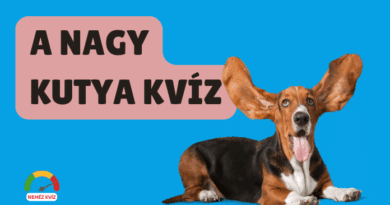 nagy kutyakviz
