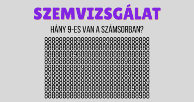 szemflip1