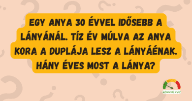 anyalanyaevkor matek kviz
