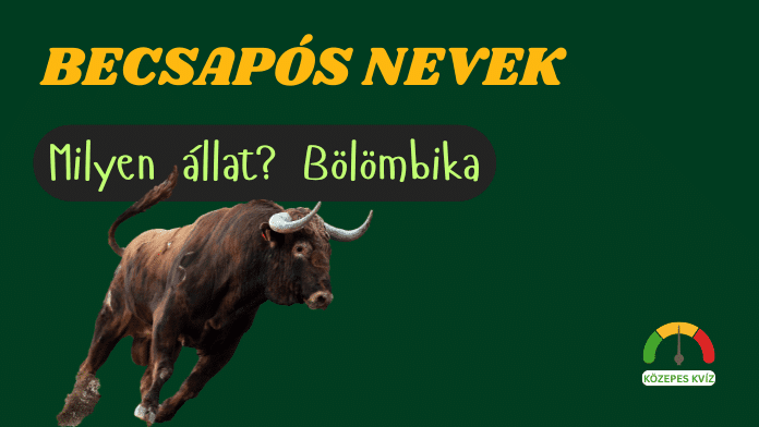 becsaposnevekkviz
