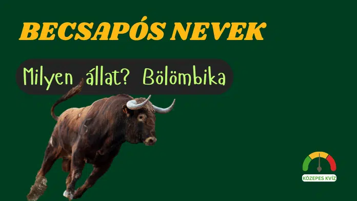 becsaposnevekkviz