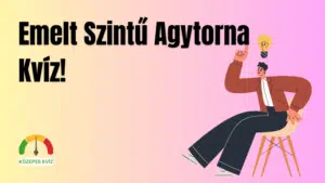 emeltszintflip11