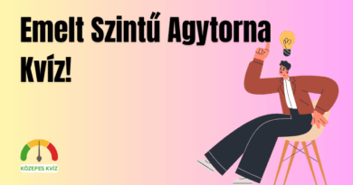 emeltszintflip11