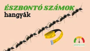 hangyakv2