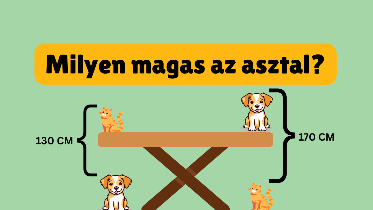 milyen magas az asztal 1