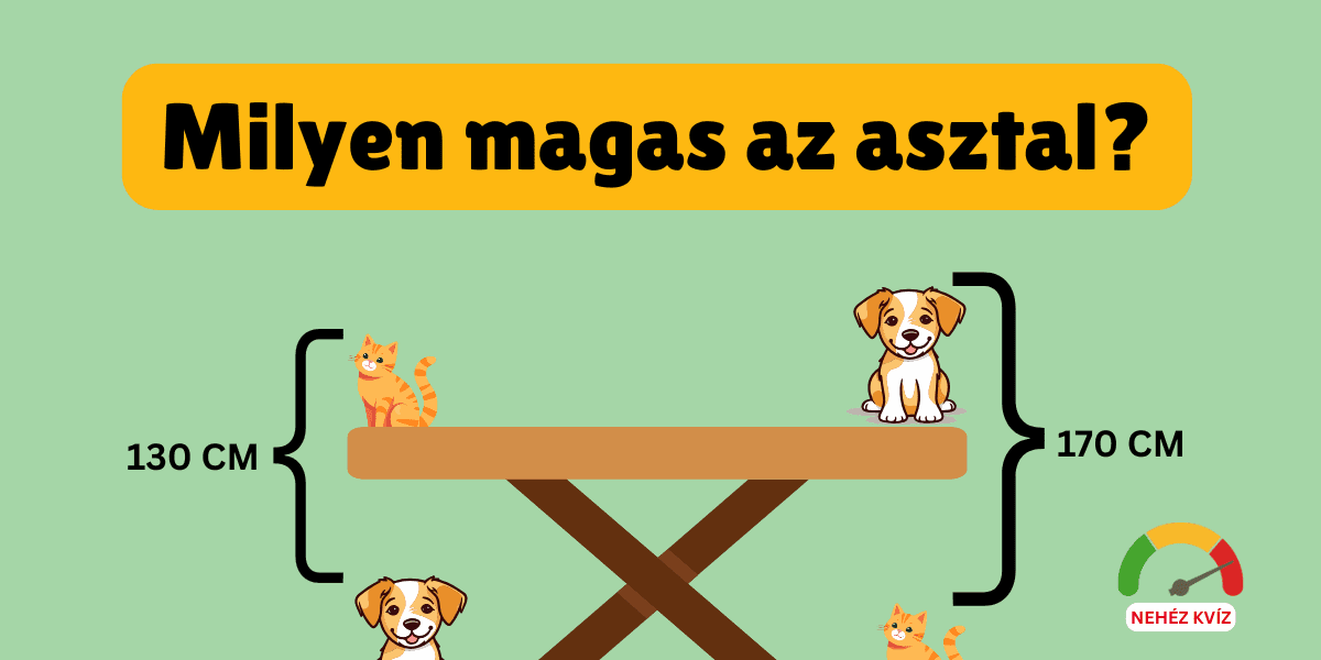 milyen magas az asztal cover