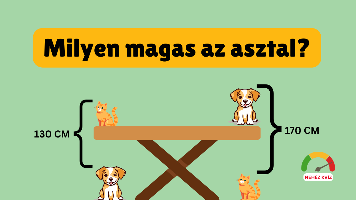 milyen magas az asztal cover