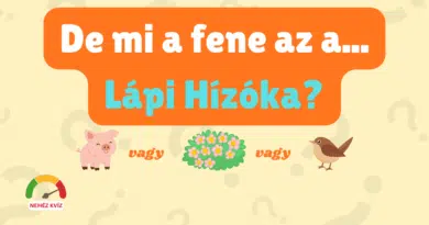 muveltsegi kviz furcsa nevek vol 3