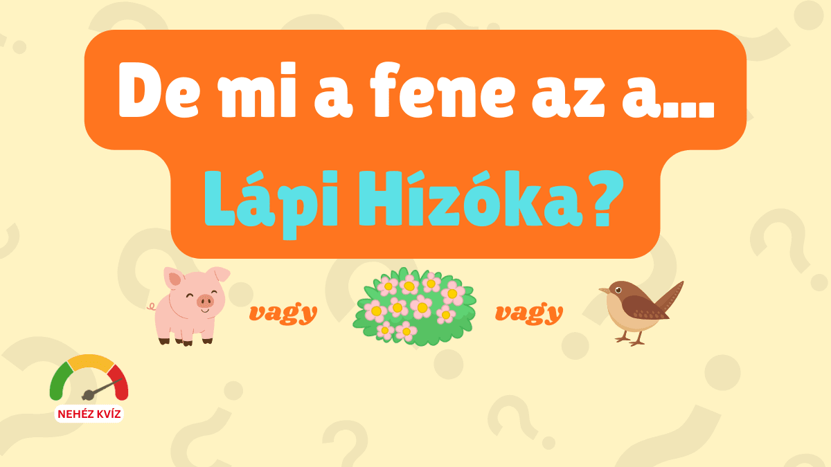 muveltsegi kviz furcsa nevek vol 3