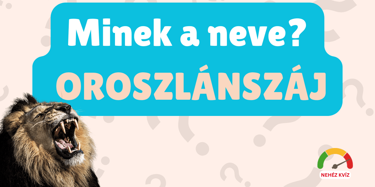 BecsapósNevekKviz