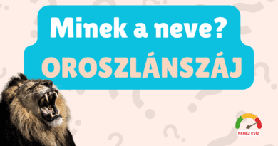 BecsapósNevekKviz