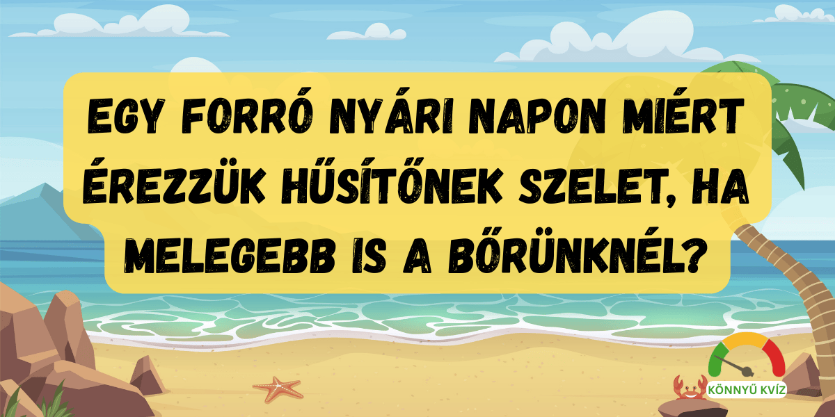 Napi kvíz műveltségi teszt parolgas cover