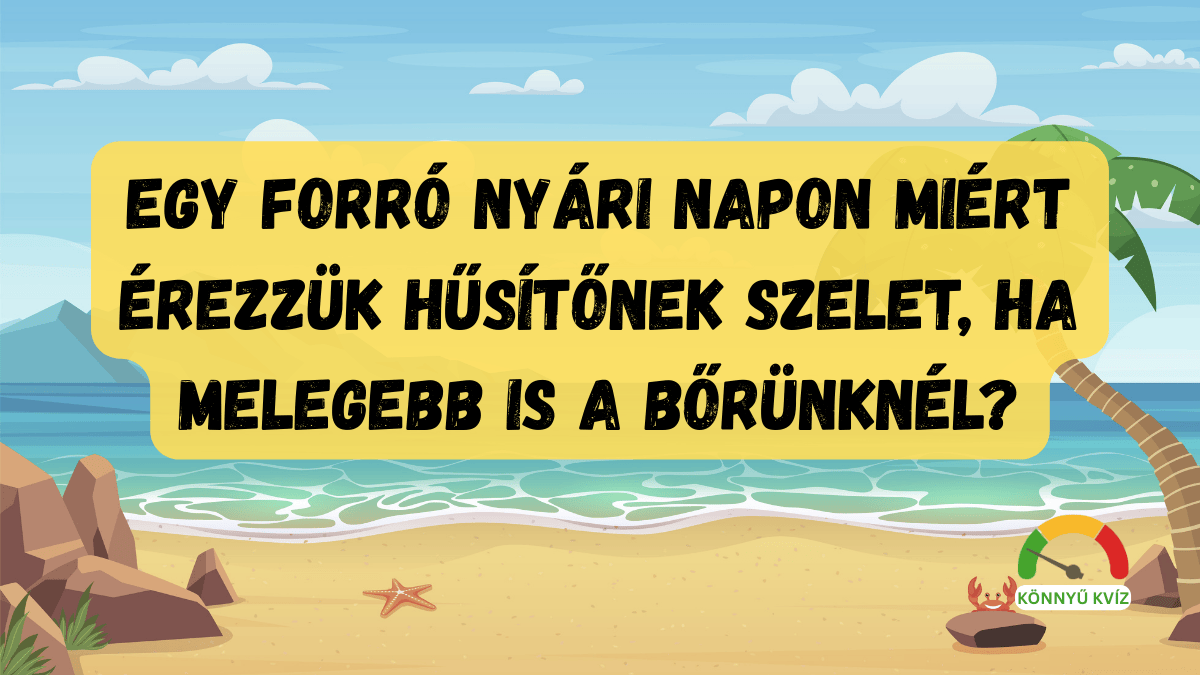 Napi kvíz műveltségi teszt parolgas cover