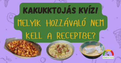 recept kviz 2 kakukktojas cover