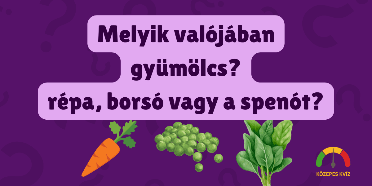 repaborsospenot fejtörő kviz cover photo