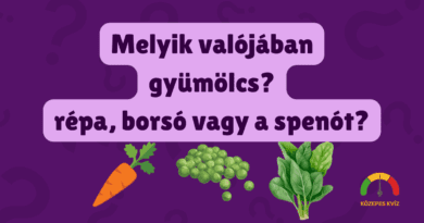 repaborsospenot fejtörő kviz cover photo