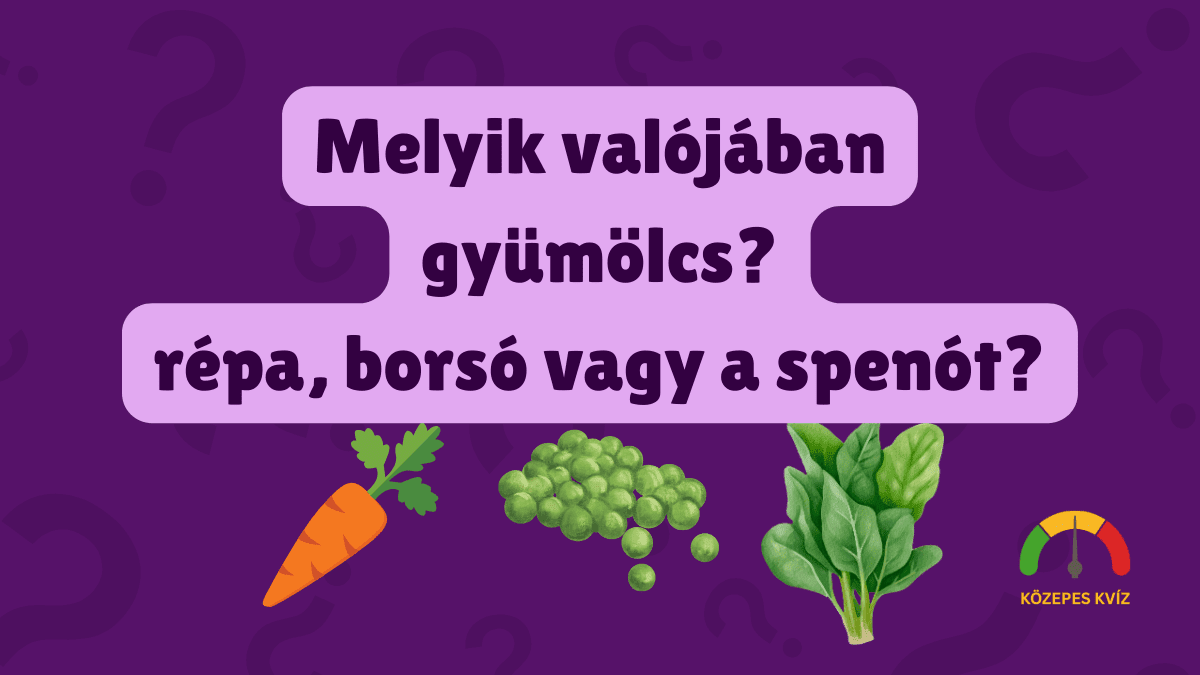 repaborsospenot fejtörő kviz cover photo