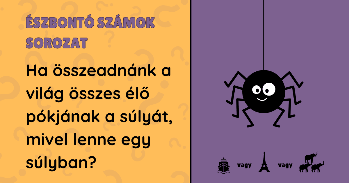 észbontó kvíz pók 2025-41 cover