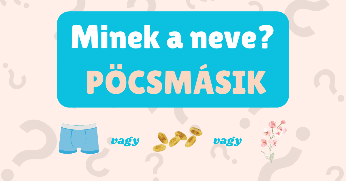 furcsa nevek kvíz cover 2025-41