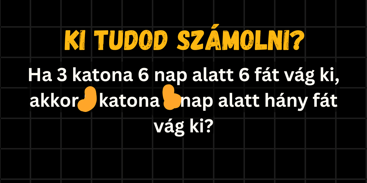 matek kvíz 2025 44 katona cover