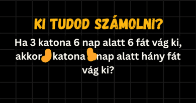 matek kvíz 2025 44 katona cover