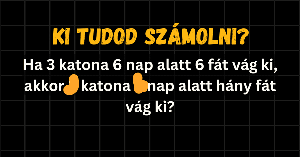 matek kvíz 2025 44 katona cover