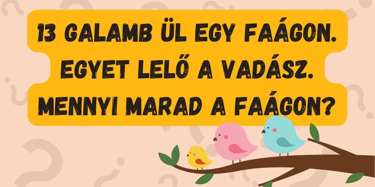 napi kvíz flip galamb