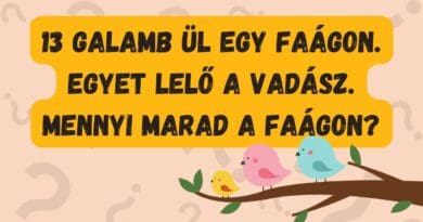 napi kvíz flip galamb