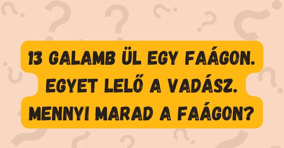 napi kvíz flip galamb2