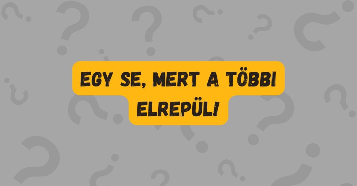 napi kvíz flip galamb3