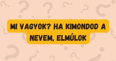napi kvíz flip nevem
