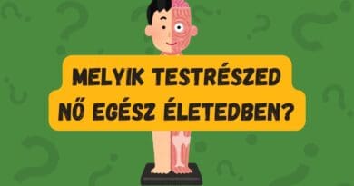 napi kvíz testrész