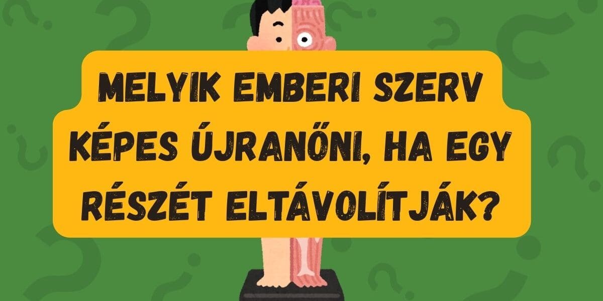 napi kvíz újranövőszerv