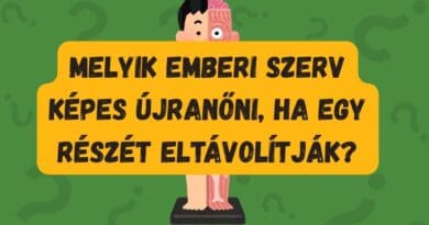 napi kvíz újranövőszerv