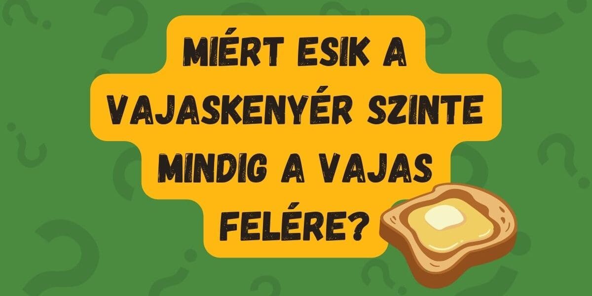 napi kvíz vajaskenyér