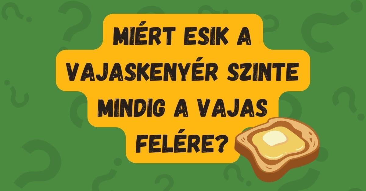 napi kvíz vajaskenyér